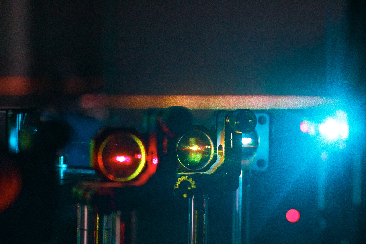 Фото Дмитрия Ковшова