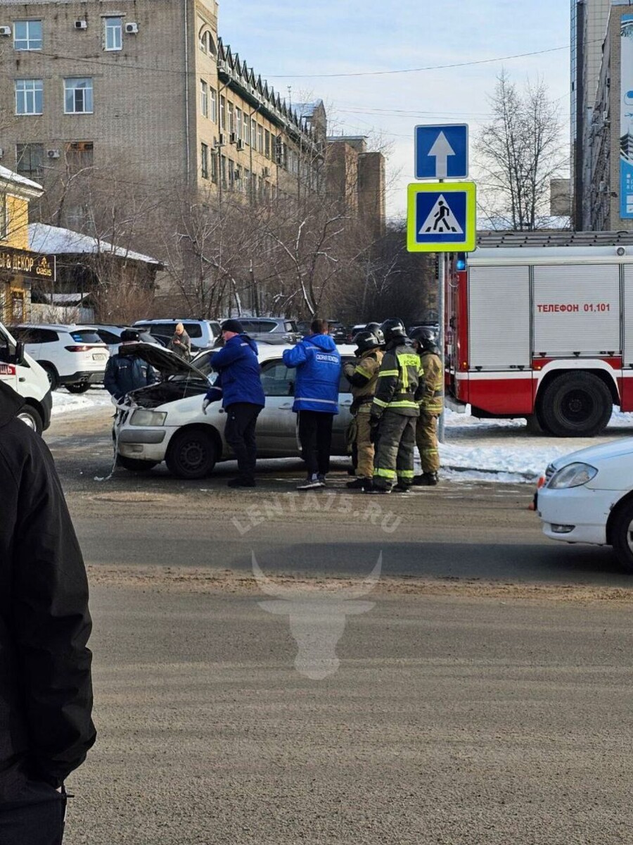    Фото: Очевидец   📷   Фото: Очевидец   📷   Фото: Очевидец