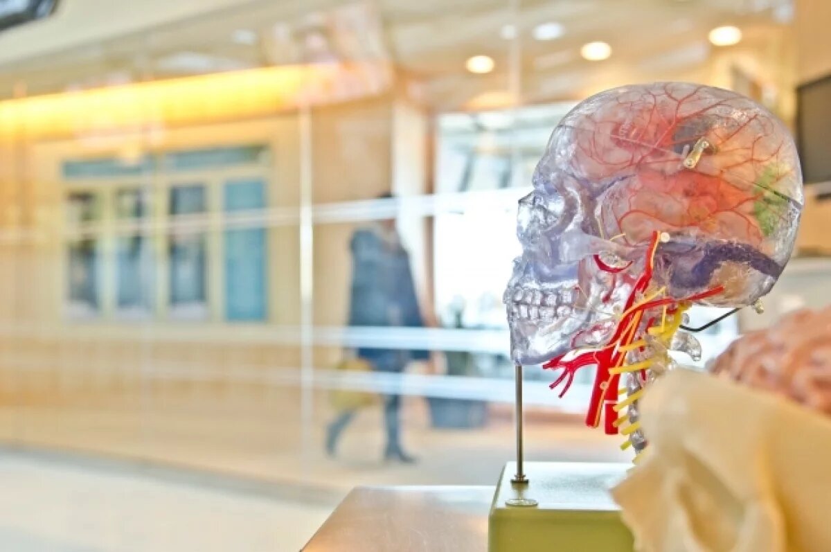    Невролог Иллариошкин: воздействуя на мозг, можно повышать точность стрельбы