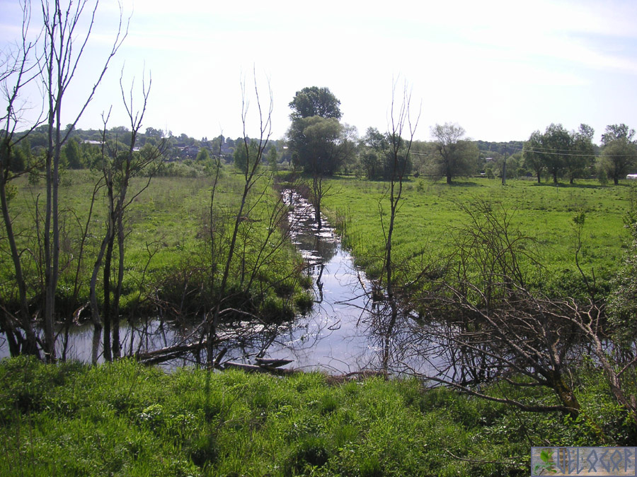 Каналы в пойме реки Суходрев