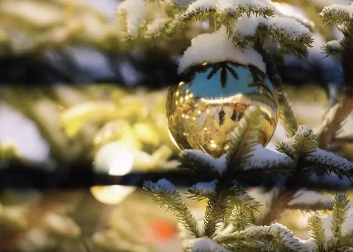     © РИА Новости. Алексей Даничев