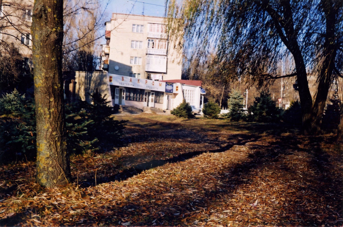 Городской парк в 90-е годы. / ФОТО автора
