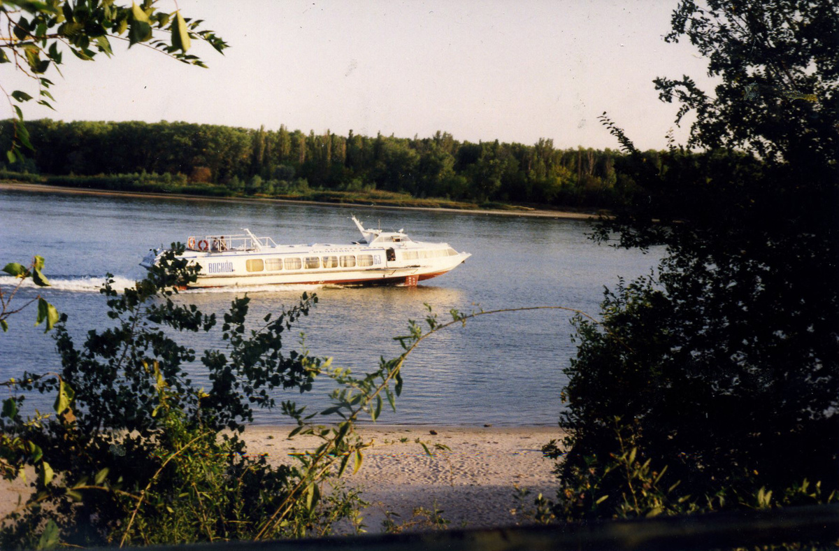 «Ракета» мчится по Дону. / ФОТО автора