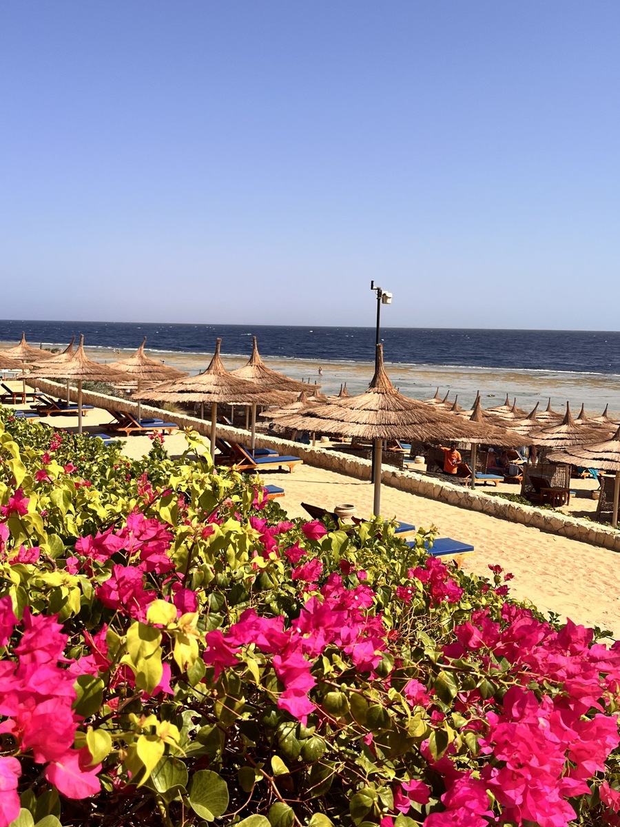 Ландыш, автор отзыва