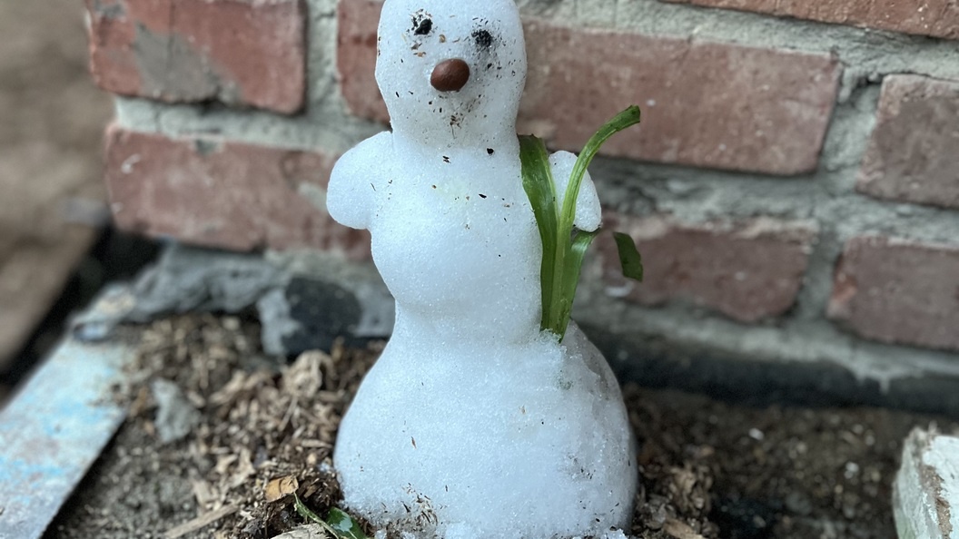    Фото: Царьград