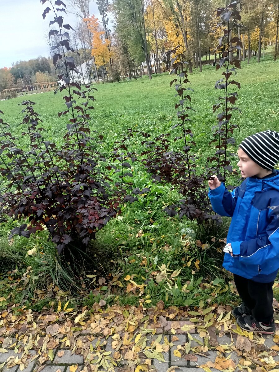 А какая мама не хочет, чтобы её ребенок был самым умным?
