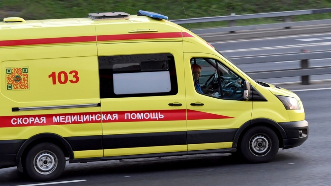    Фото: Vladimir Baranov/Globallookpress