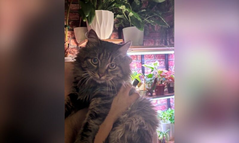    Фото: Краснодар | Телетайп