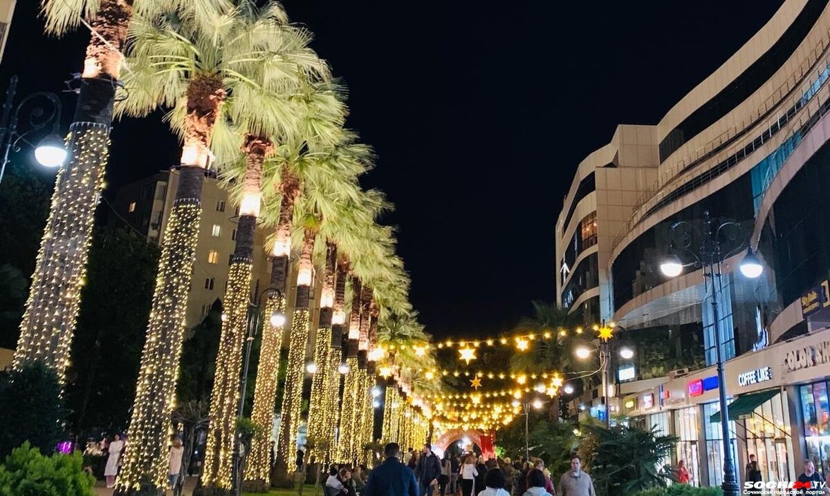    фото: Сочи 24