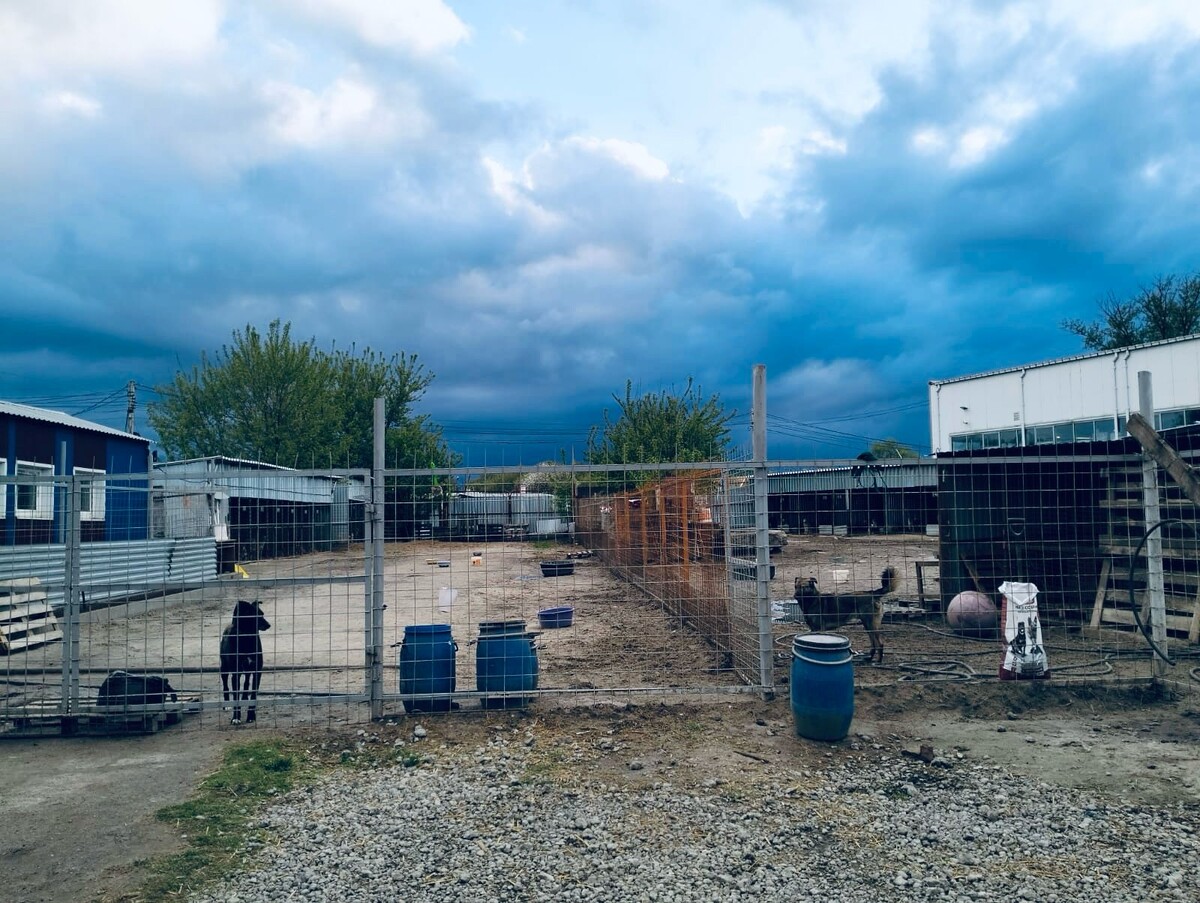 Сгустились тучи на Добрым Городом