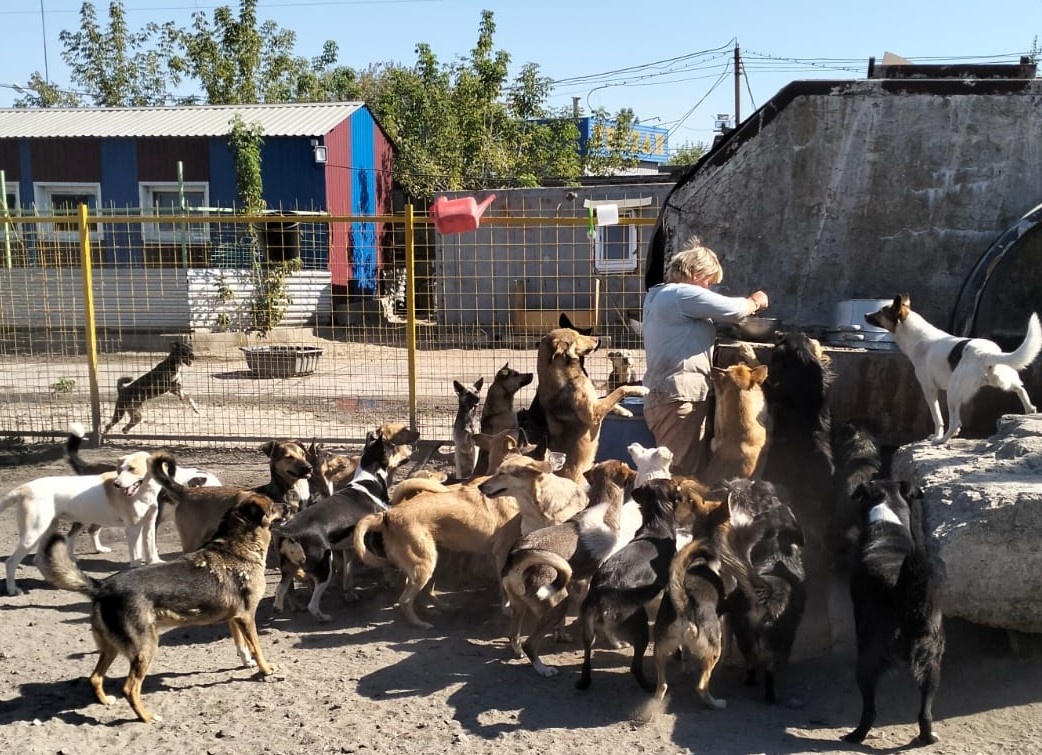 Раздача вкусняшек