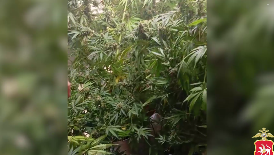    Фото: скриншот с оперативного видео / МВД по РТ