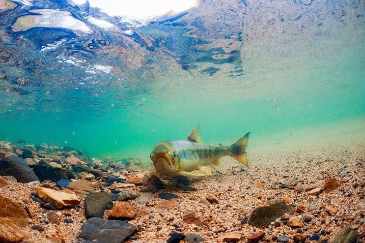    Источник фото: Юрий Смитюк