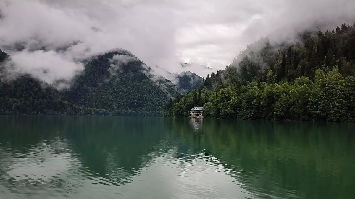     Источник: 1MI