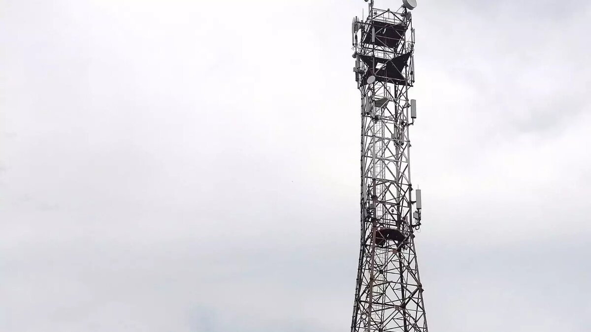     Источник: МТС