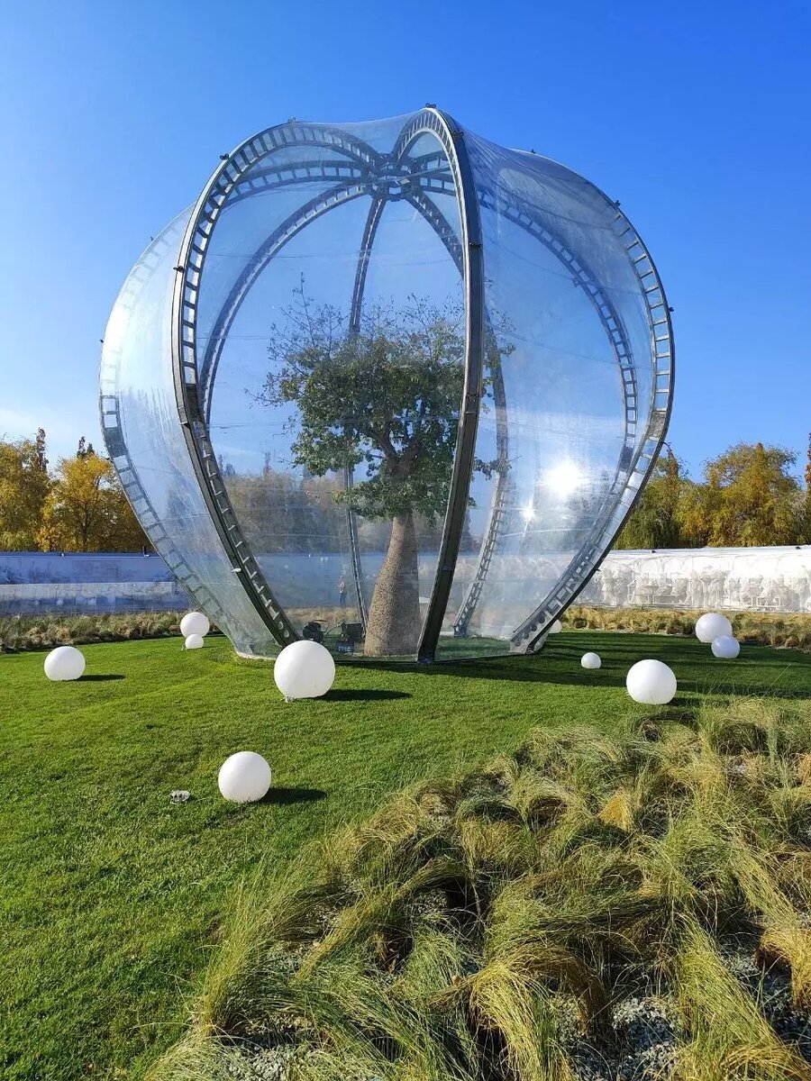     Источник: t.me/park_galitskogo