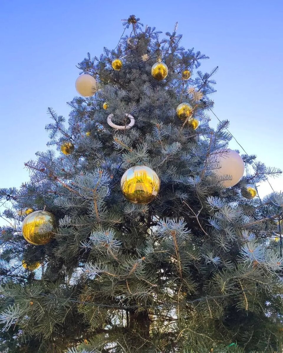     Источник: t.me/park_galitskogo