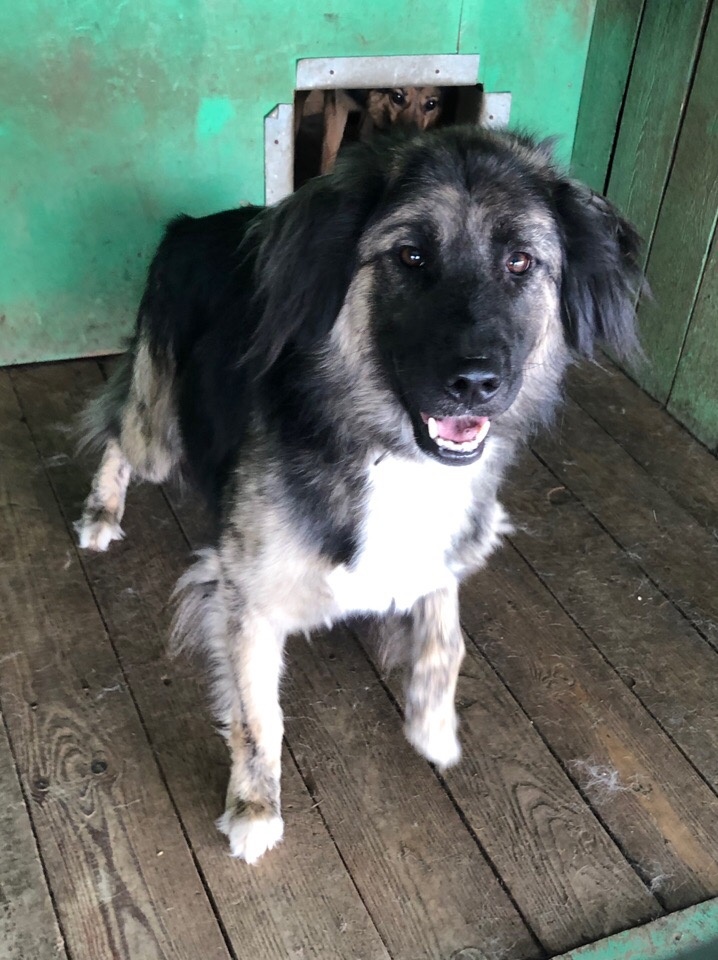 А это мой домик