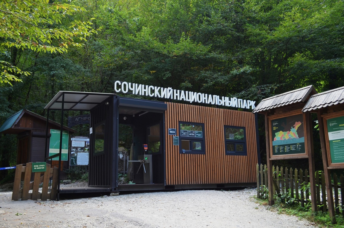    Фото: пресс-служба Сочинского национального парка