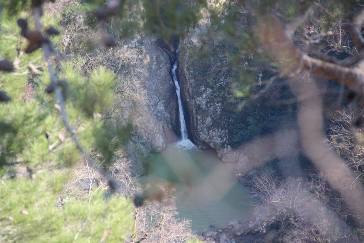    Фото: пресс-служба Сочинского национального парка