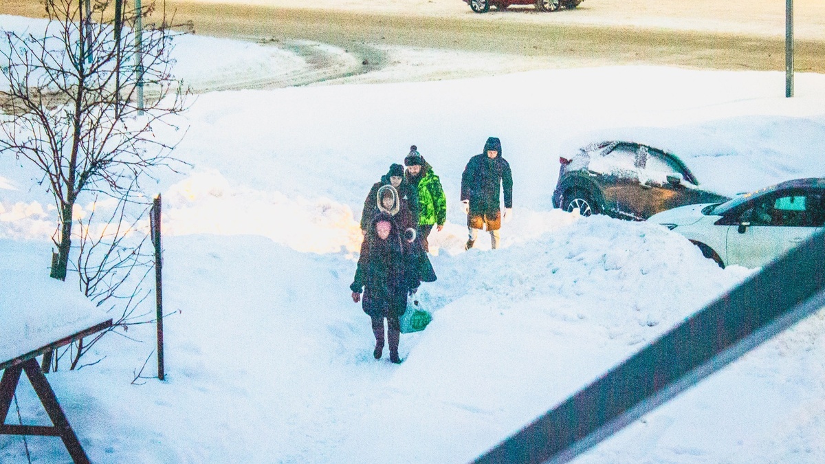     Источник: 1MI