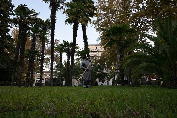    Фото пресс-службы администрации Сочи