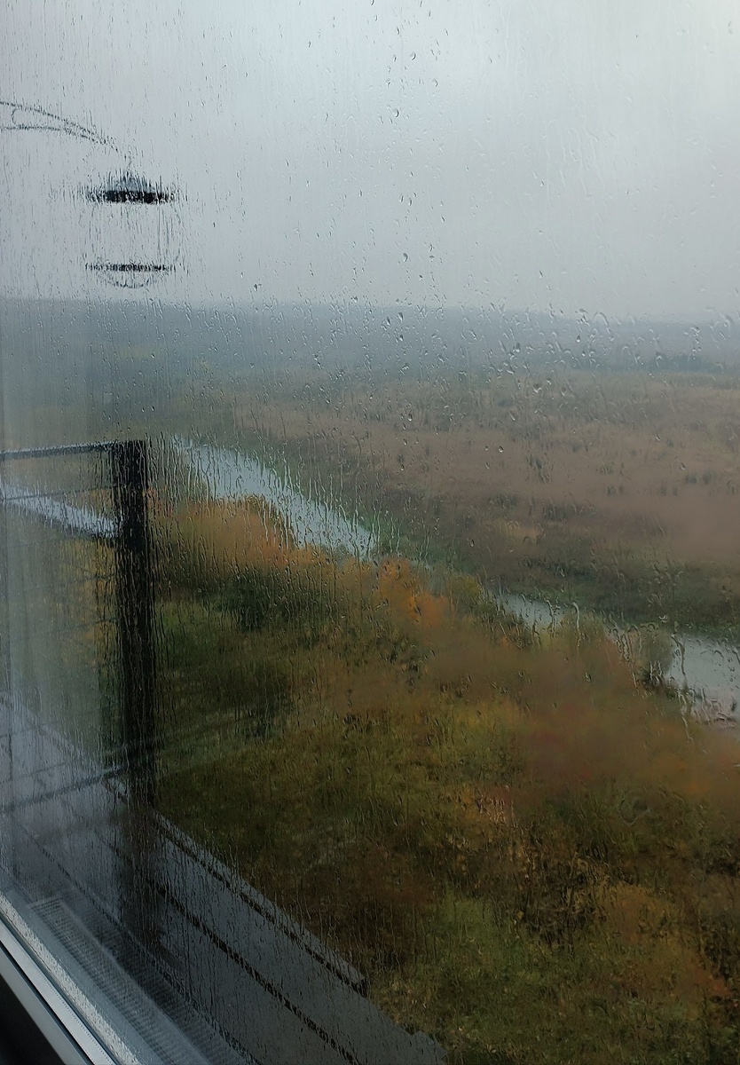 Окно не грязное, оно дождливое. И в этом его оправдание