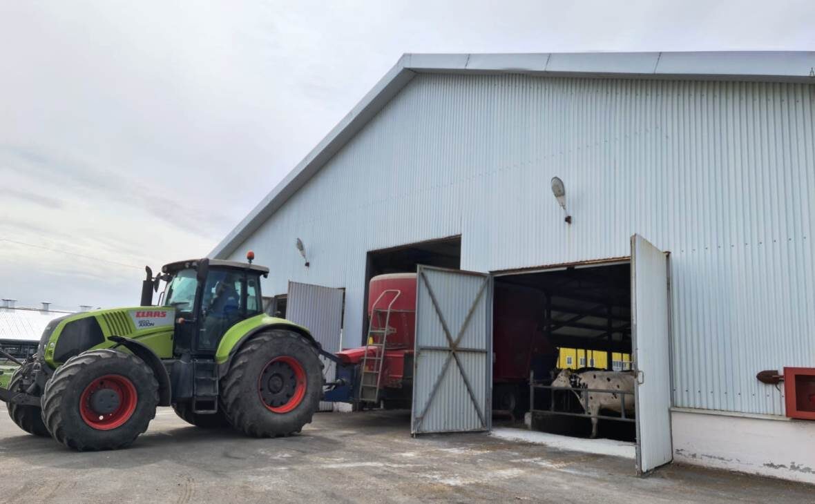 Фото: РБК Черноземье