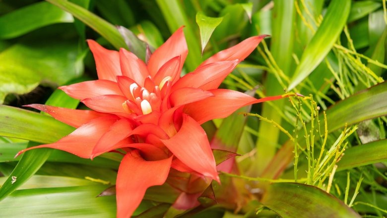 Источник: Shutterstock