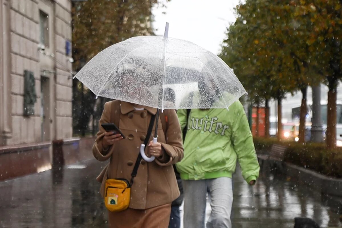    Метеоролог Позднякова спрогнозировала потепление в выходные в Москве