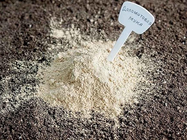 Фото: rost-agro.by