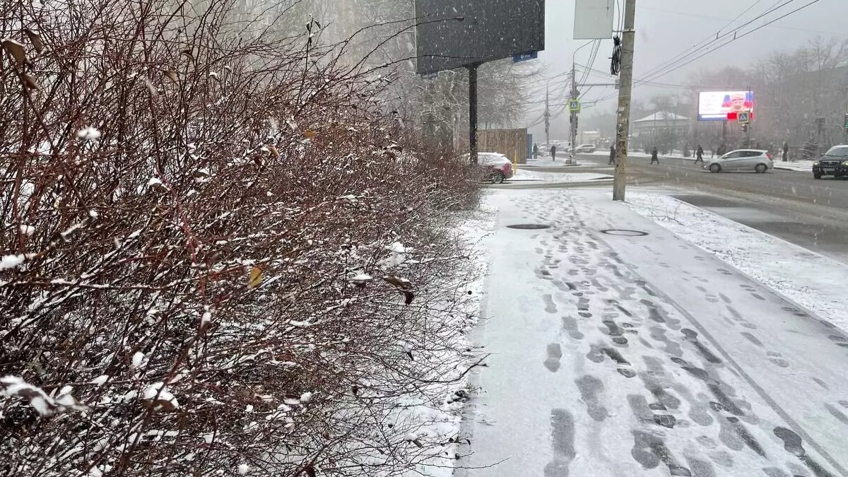     Источник: rostovgazeta.ru