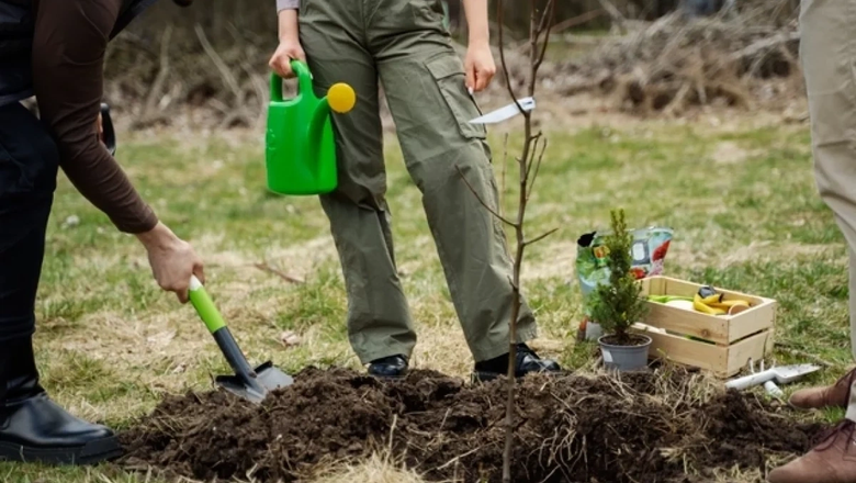 Источник: Freepik