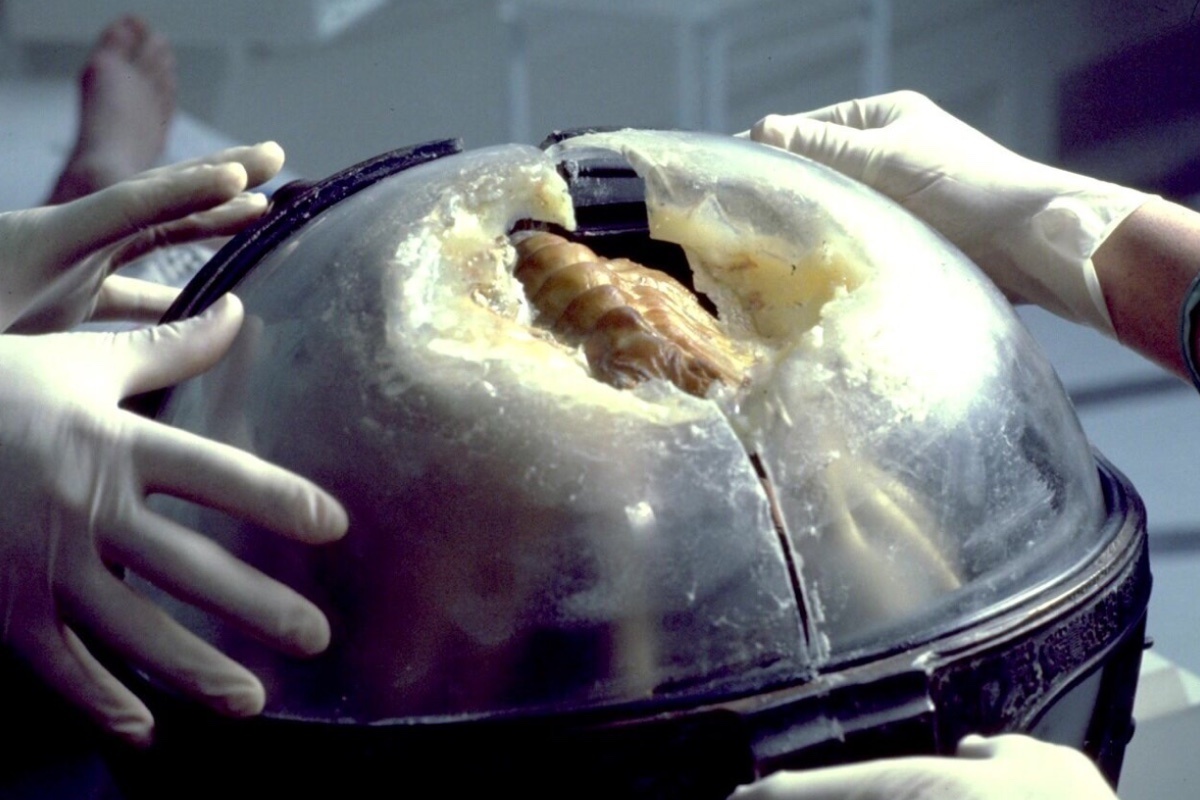 Twentieth Century-Fox Productions Ltd.📷Кадр из фильма «Чужой», режиссер Ридли Скотт, 1979 год