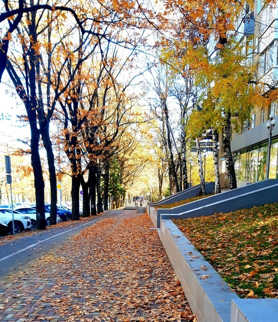 фотография автора