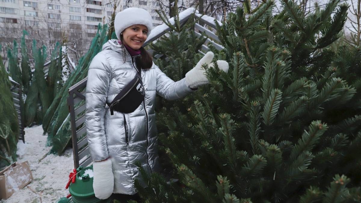    Фото: Анатолий Цымбалюк / Вечерняя Москва