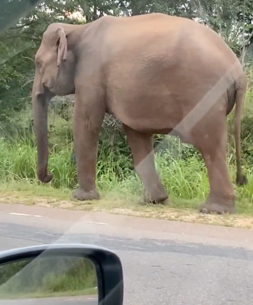 фото из машины, качество жесть, знаю