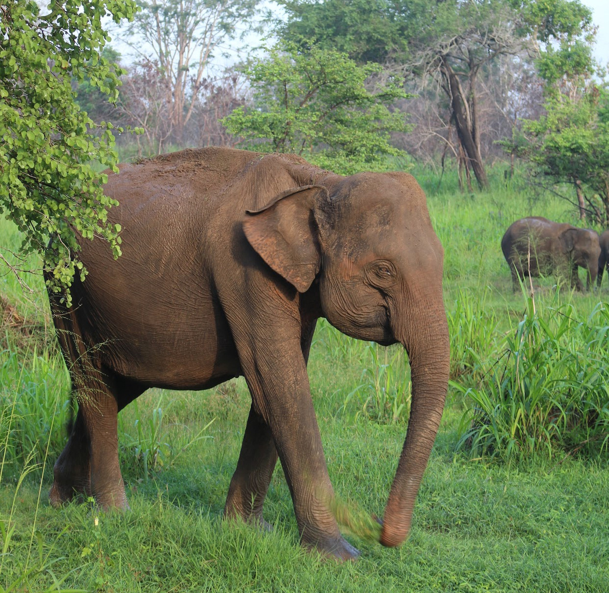 фото с дрона