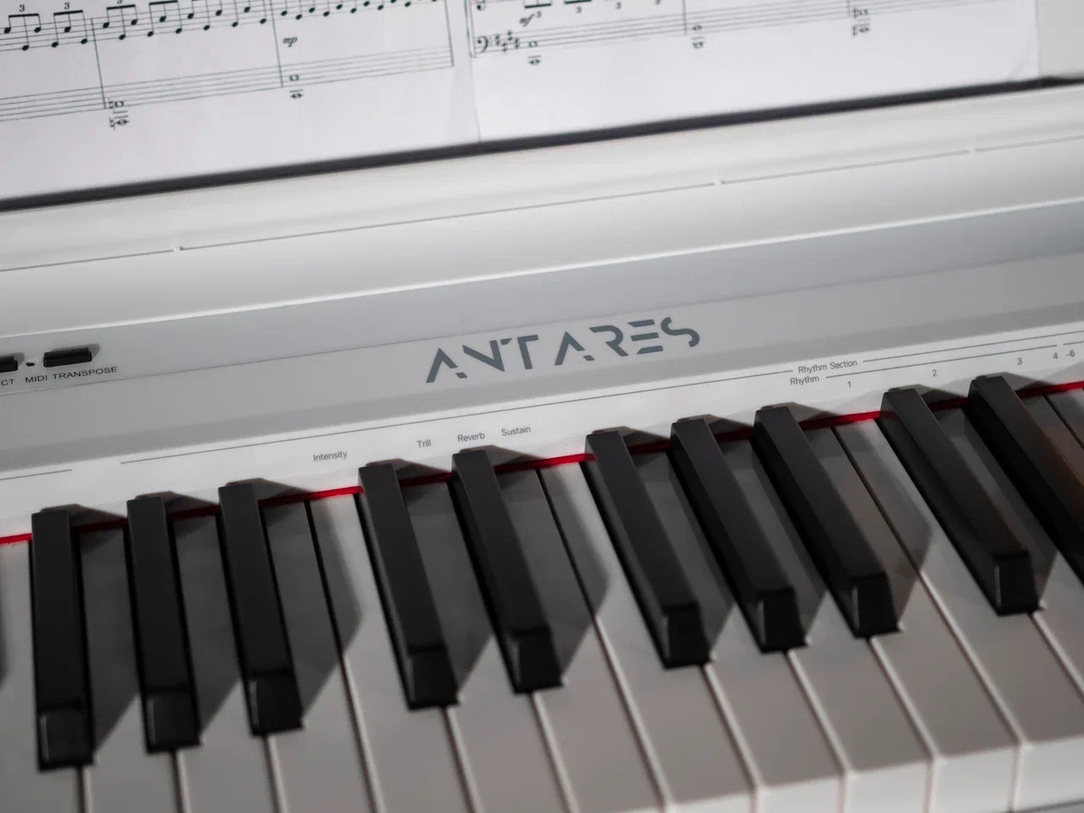 Цифровое фортепиано Antares