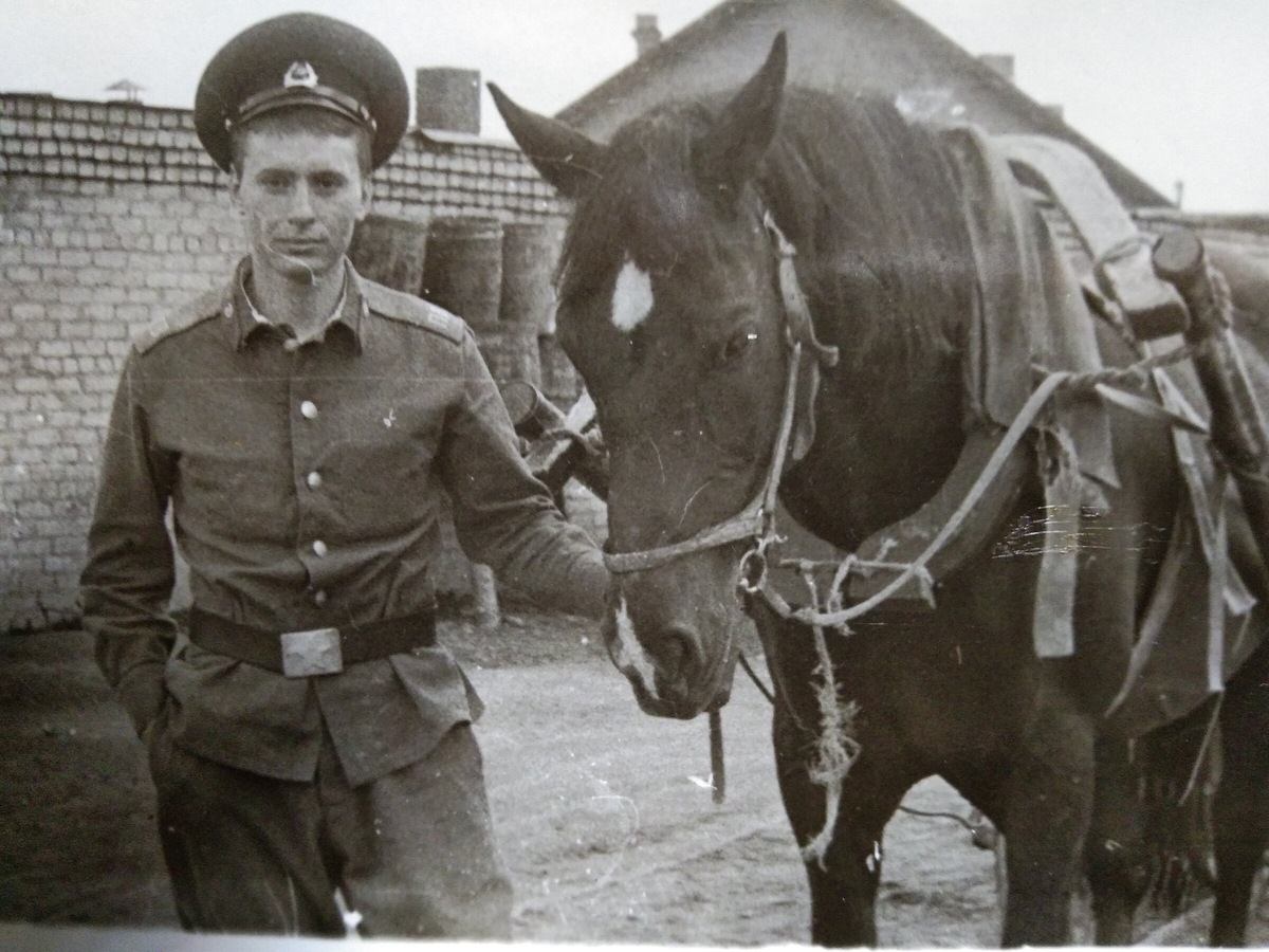 Пограничник и лошадь...