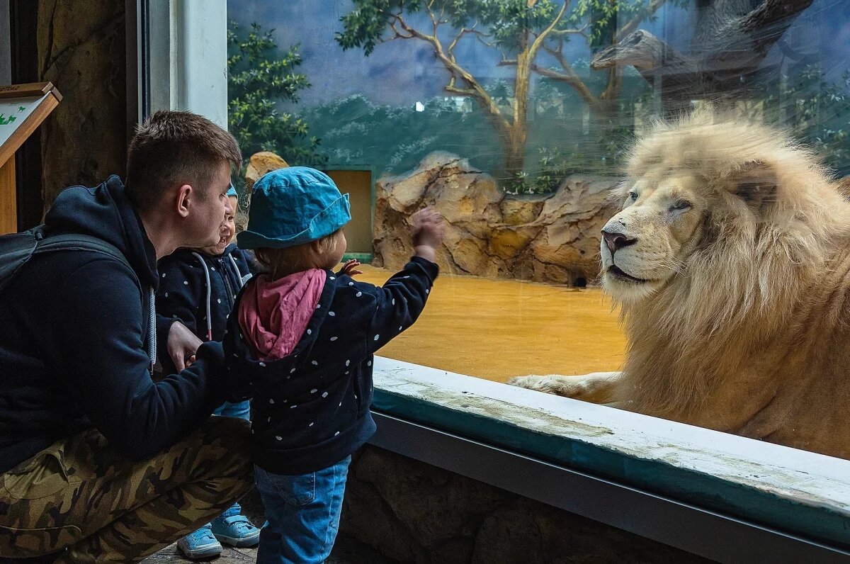    Красноярский парк «Роев ручей» получил Гран-При Всероссийского конкурса