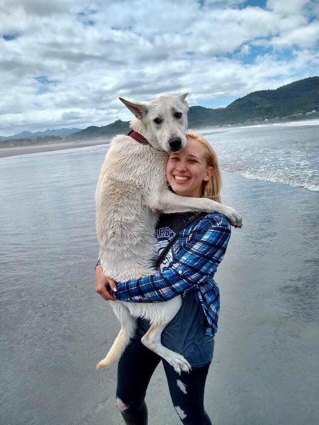 Many-Celebration-368