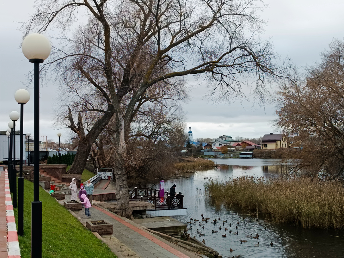 Река Мелекесска и Нижний пруд. Набережная. 