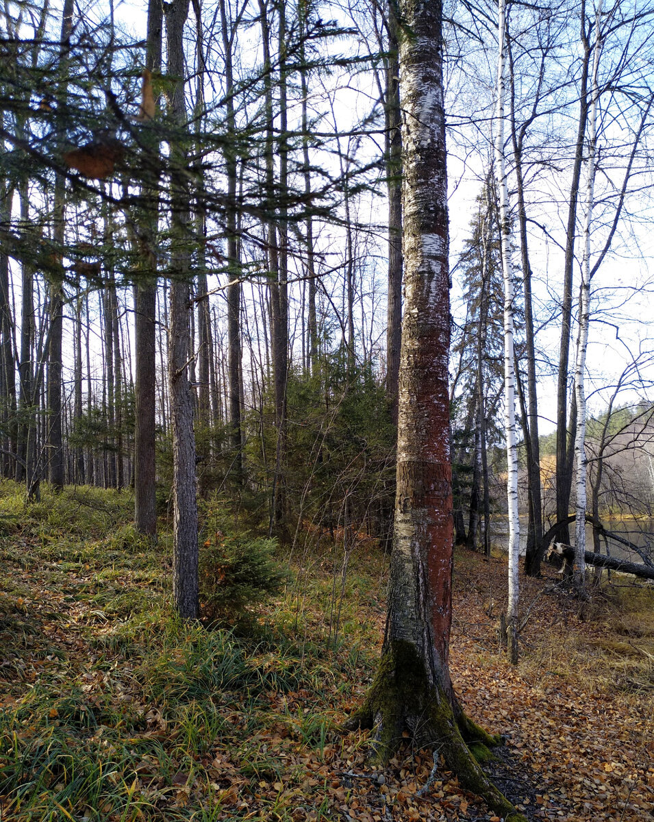 Фото из семейного архива автора