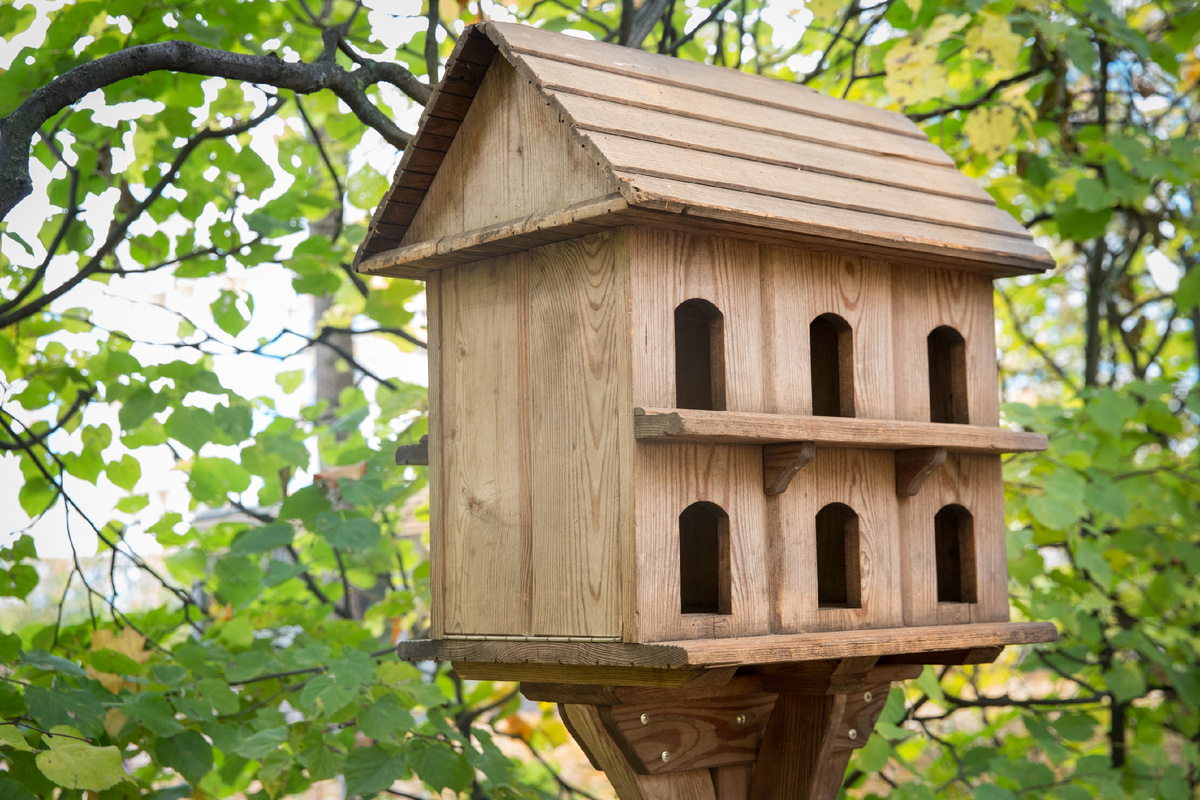 Фото: ГМЗ «Царское Село, Святослав Новиков