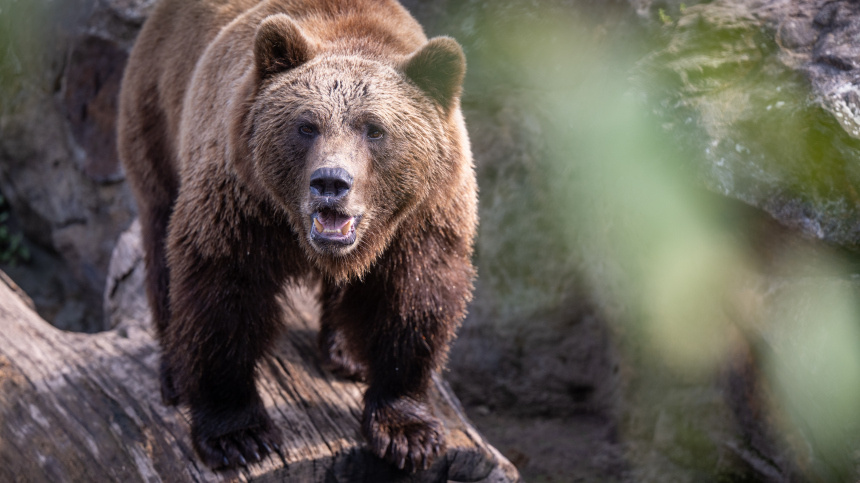    Фото: www.globallookpress.com/Monika Skolimowska