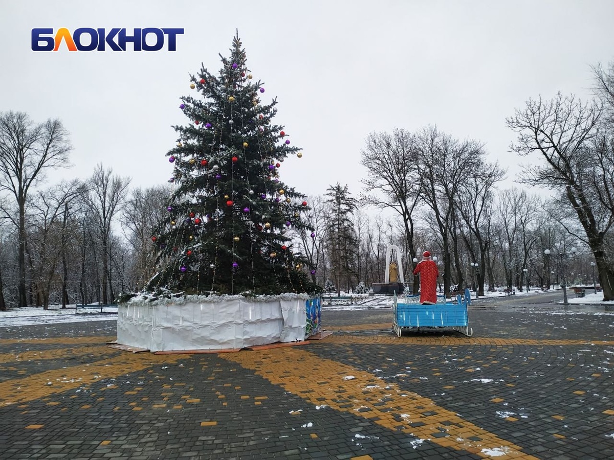 Ёлка в парке Горького в декабре прошлого года | Фото: «Блокнот Луганск»