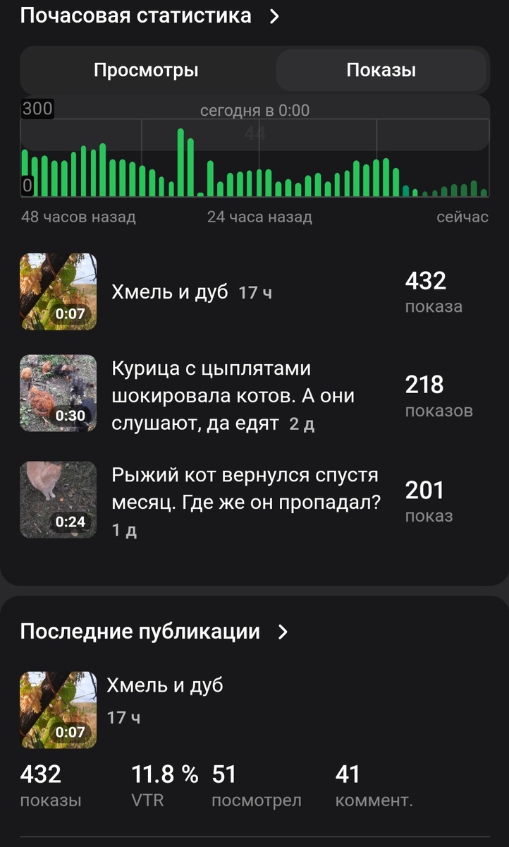 Скриншот автора 