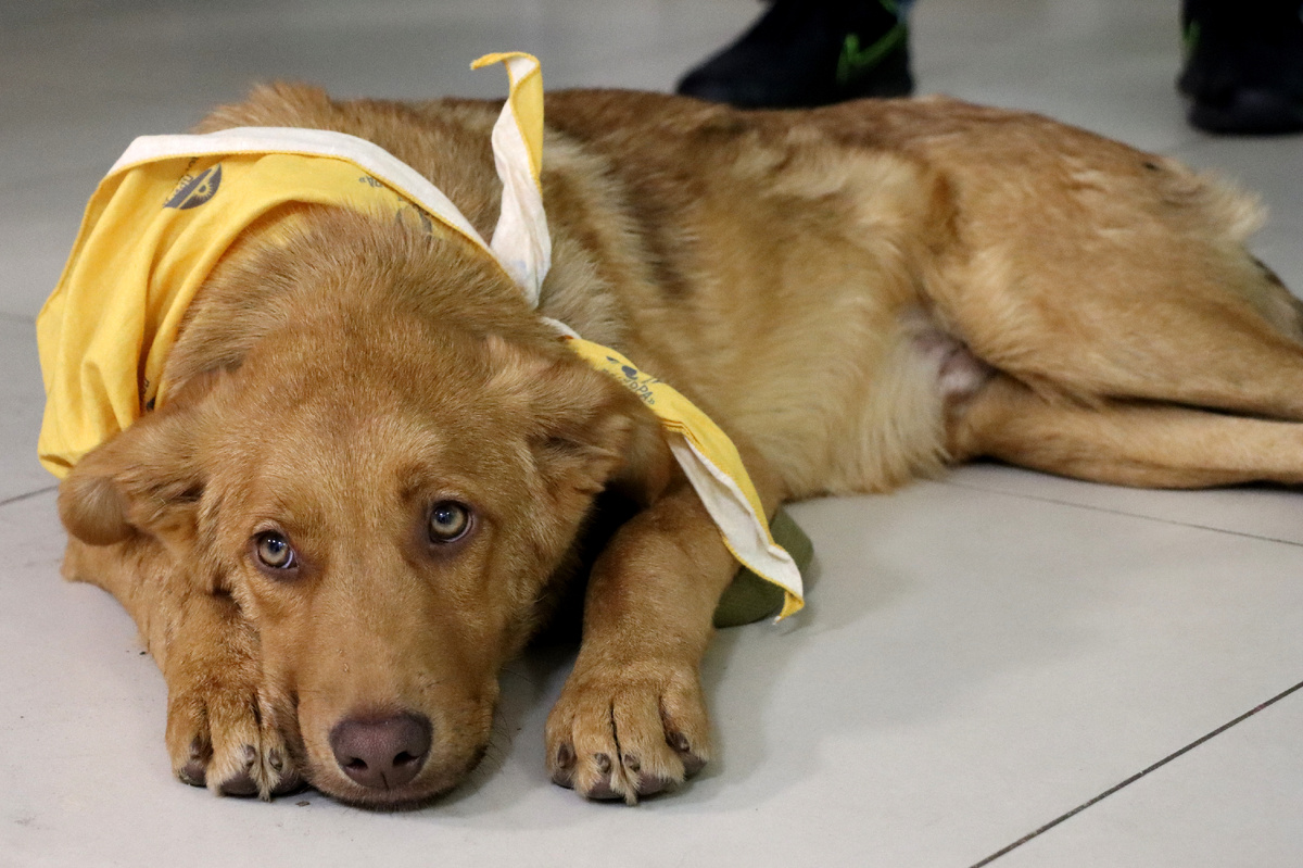 Фото БФ "Дорога добра"