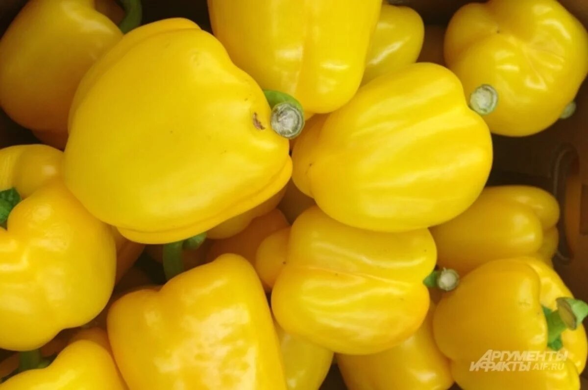    В Челябинскую область не пустили свежие овощи и розы из Казахстана